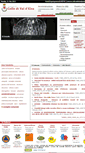 Mobile Screenshot of collevaldelsa.it